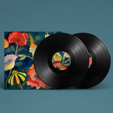 Load image into Gallery viewer, Adrianne Lenker - Songs And Instrumentals - Vinyl LP Record - Bondi Records
