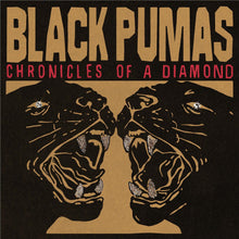 Load image into Gallery viewer, Black Pumas - Chronicles Of A Diamond - Clear Vinyl LP Record - Bondi Records
