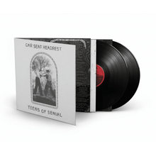 Load image into Gallery viewer, Car Seat Headrest - Teens Of Denial - Vinyl LP Record - Bondi Records
