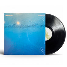 Load image into Gallery viewer, Caribou - Suddenly - Vinyl LP Record
