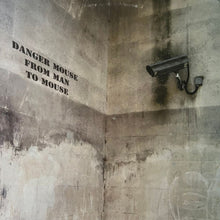 Load image into Gallery viewer, Danger Mouse - From Man To Mouse - Vinyl LP Record - Bondi Records
