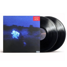 Load image into Gallery viewer, Daniel Caesar - Never Enough - Vinyl LP Record - Bondi Records
