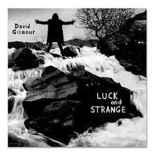 Load image into Gallery viewer, David Gilmour - Luck and Strange - Sea Blue Vinyl LP Record - Bondi Records
