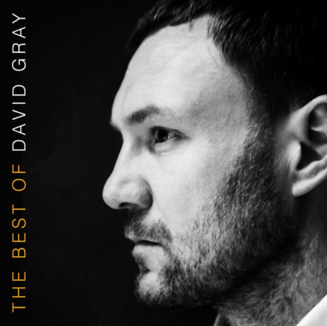 David Gray ‎ - The Best Of David Gray - Vinyl LP Record - Bondi Records