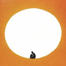 Load image into Gallery viewer, Death Cab For Cutie - I Built You A Tower - Vinyl LP Record - Bondi Records
