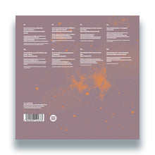 Load image into Gallery viewer, Various Artists - Decade One: Compiled by Sean McCabe - Vinyl LP Record
