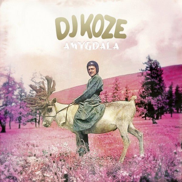 DJ Koze - Amygdala - Vinyl LP Record - Bondi Records