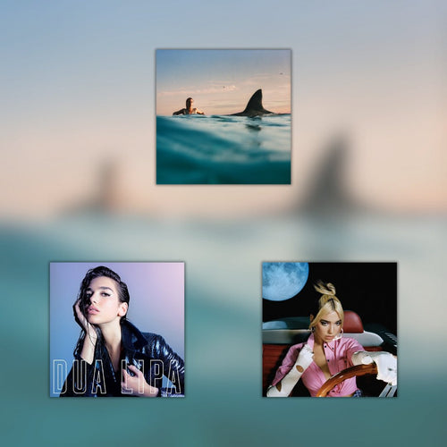 Dua Lipa - Vinyl LP Record Bundle - Bondi Records