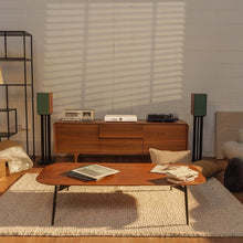 Load image into Gallery viewer, Encel Brains Integrated Amplifier - Bondi Records

