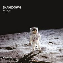 Load image into Gallery viewer, Shakedown - At Night - 12" Vinyl Single Record
