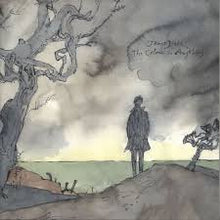 Load image into Gallery viewer, James Blake - The Colour In Anything - Vinyl LP Record
