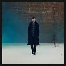 Load image into Gallery viewer, James Blake - Overgrown - Vinyl LP Record
