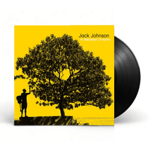 Load image into Gallery viewer, Jack Johnson - In Between Dreams - Vinyl LP Record - Bondi Records

