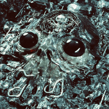 Load image into Gallery viewer, King Gizzard &amp; the Lizard Wizard - Alien Metal - Marble Black Vinyl LP Record - Bondi Records
