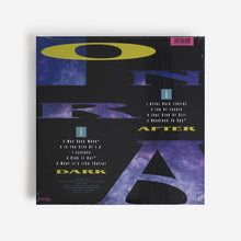Load image into Gallery viewer, Onra - After Dark - Vinyl LP Record
