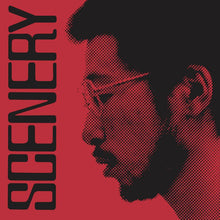 Load image into Gallery viewer, Ryo Fukui - Scenery - Vinyl LP Record - Bondi Records
