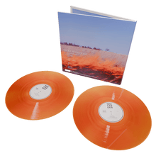 Load image into Gallery viewer, The Maccabees - Given To The Wild - Orange Vinyl LP Record - Bondi Records
