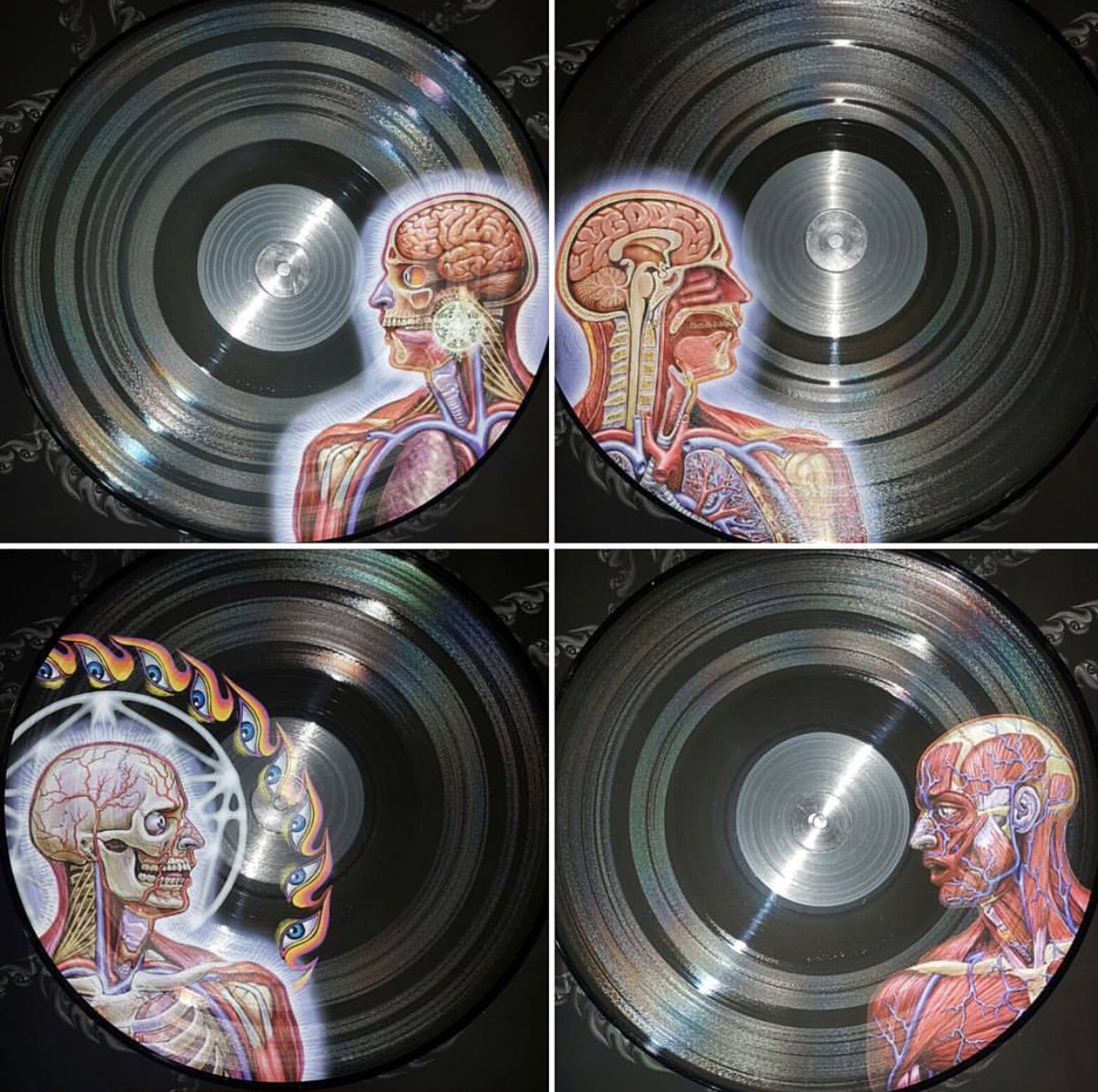 Tool - Lateralus - Limited Edition Picture Disc Vinyl LP