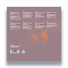 Load image into Gallery viewer, Various Artists - Decade One: Compiled by Sean McCabe - Vinyl LP Record - Bondi Records
