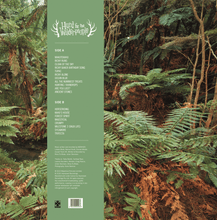 Load image into Gallery viewer, Various Artists - Hunt For The Wilderpeople: Official Motion Picture Soundtrack - Jade Marble Vinyl LP Record - Bondi Records
