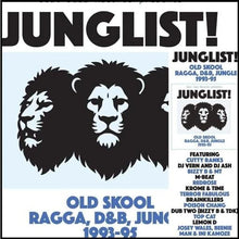 Load image into Gallery viewer, Various Artists - Junglist!: Old Skool Ragga D&amp;B Jungle 1993 - 95 - Vinyl LP Record - Bondi Records
