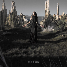 Load image into Gallery viewer, Chelsea Wolfe - The Dark - Vinyl LP Record

