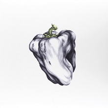 Load image into Gallery viewer, Ween - White Pepper - Green Vinyl LP Record - Bondi Records
