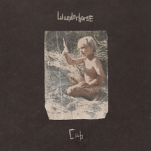 Load image into Gallery viewer, Wunderhorse - Cub - Vinyl LP Record - Bondi Records
