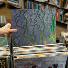 Load image into Gallery viewer, Alt-J - An Awesome Wave - Vinyl LP Record - Bondi Records
