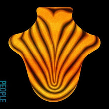 Load image into Gallery viewer, Big Red Machine - Big Red Machine - Vinyl LP Record - Bondi Records
