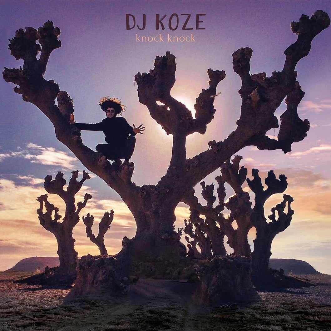 DJ Koze - Knock Knock - Vinyl LP Record - Bondi Records