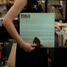 Load image into Gallery viewer, Foals - What Went Down - Vinyl LP Record - Bondi Records
