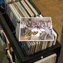 Load image into Gallery viewer, Idles - Joy As An Act Of Resistance - Vinyl LP Record - Bondi Records
