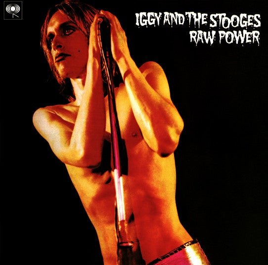 Iggy And The Stooges - Raw Power - Vinyl LP Record - Bondi Records
