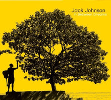 Load image into Gallery viewer, Jack Johnson - In Between Dreams - Vinyl LP Record - Bondi Records
