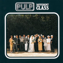 Load image into Gallery viewer, Pulp - Different Class - Vinyl LP Record - Bondi Records
