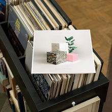 Load image into Gallery viewer, The Jungle Giants - Quiet Ferocity – Pink Vinyl LP Record - Bondi Records
