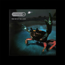 Load image into Gallery viewer, The Prodigy - The Fat Of The Land - 25th Anniversary Vinyl LP Record - Bondi Records
